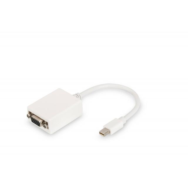 Digitus - Cable adaptador DisplayPort - DB-340407-001-W