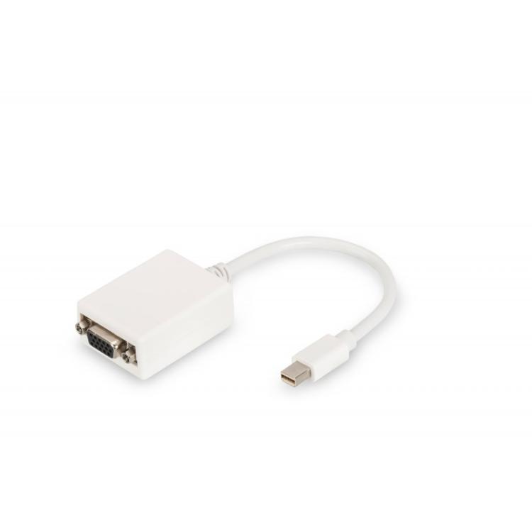 Digitus - Cable adaptador DisplayPort - DB-340407-001-W