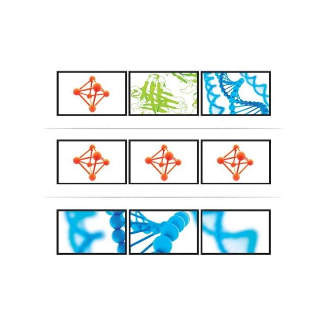 StarTech.com - Hub MST de 3 Puertos DisplayPort 1.2 - Divisor Splitter DP de 3 Monitores - Adaptador DP a 2x DisplayPort 4K 30Hz