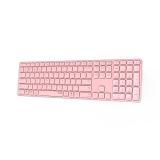 Rapoo - E9800M teclado Universal Bluetooth QWERTY Rosa