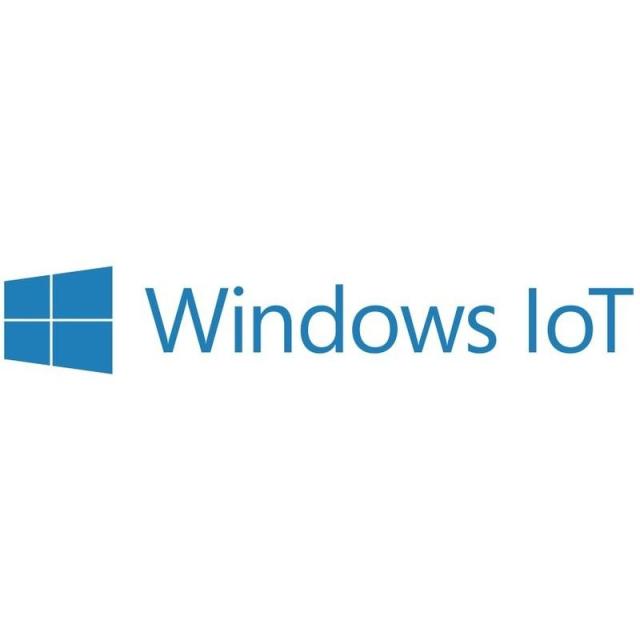 HP - Win 10 IoT 2019 Licencia de acceso de cliente (CAL)